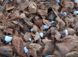 Coconut specialty mix