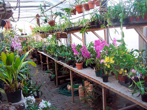 Greenhouse